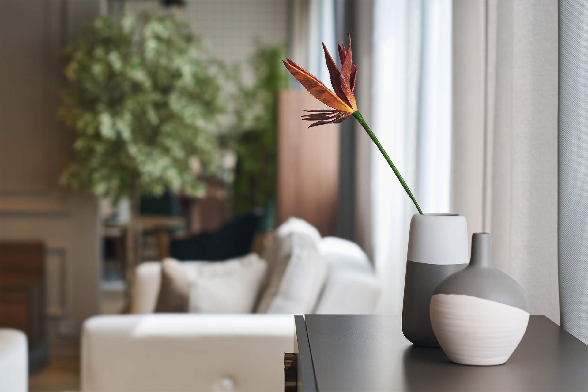5 Tips de Decoración para tu Departamento