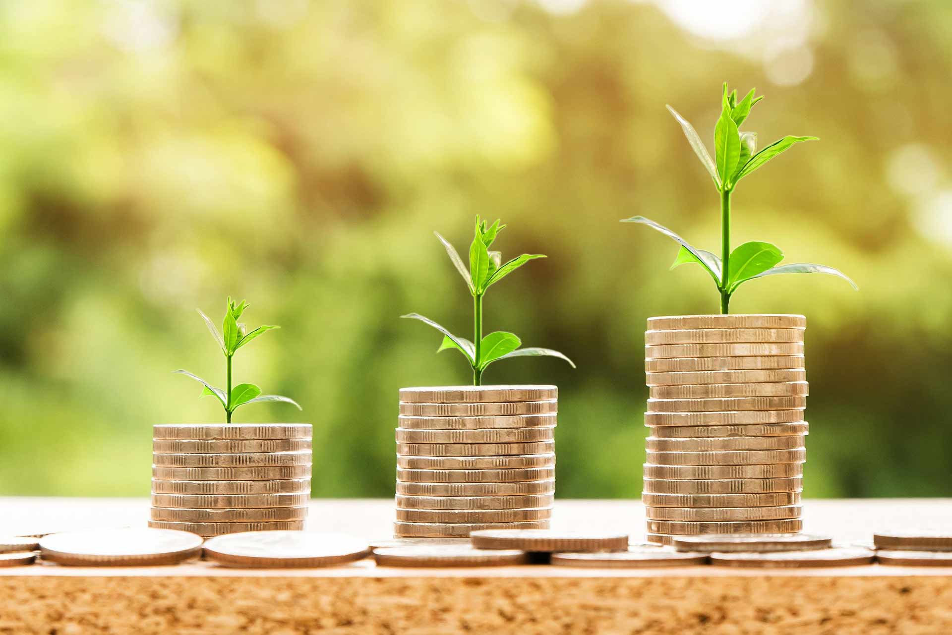 Macul: Proyección inmobiliaria y alta demanda de arriendo